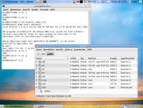 Beispiel für einen NFS-Client