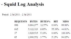 Anonymisierte Beispielseite der Web-Statistik mit 'srg'